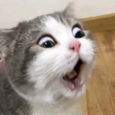 seductiveauthority avatar