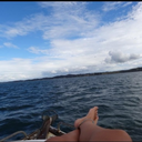 see-travel-live avatar