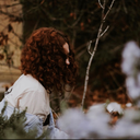 seed-to-sequoia avatar