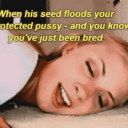 seedingdesire avatar