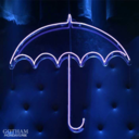 seegothamdogotham avatar