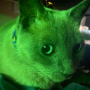 seeingghosstz avatar