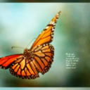 seeingthroughit-blog avatar