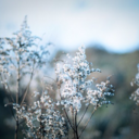 seekbeautyinthesunrise01 avatar