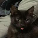 seeking-my-serenity avatar