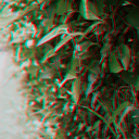 seeking-redemption-arg avatar