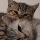 seekingserenityy avatar