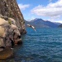 seekingsomethingcool avatar