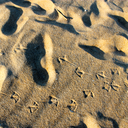 seekingthegreat avatar