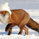 seekintroubles avatar