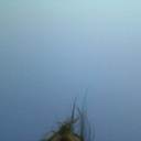 seelandd avatar