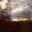 seeleinbewegung avatar