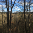 seepintomysoul avatar