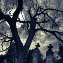 seethosepagansgo avatar