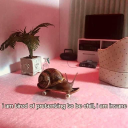 seeyouinhellkid avatar