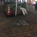 seeyouinspacecowboy avatar