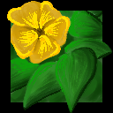 segfaultvicta avatar