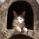 segundo--acto avatar