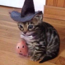 sehunisachick avatar