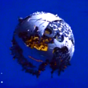 seibertronian-blog avatar