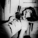 seikosvtxshi-blog avatar