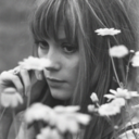 seilaporaajdshivg-blog avatar