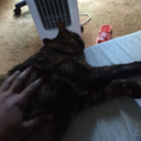 seimei-fats-blog avatar