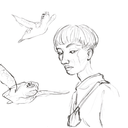 seiseiseiseiseiseiseih avatar