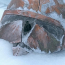 seismicwhales avatar