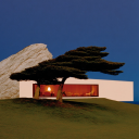 seizethe-advenfuture avatar