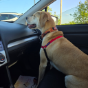 seizetheday94 avatar