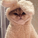 sekiz10vapuru avatar