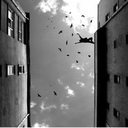 sekundentagtraeumer avatar