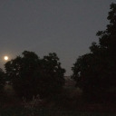 selamergenbensergen avatar