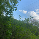 selcouthhounds avatar