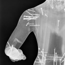 selectedambient avatar