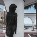 selena-etc-inc avatar