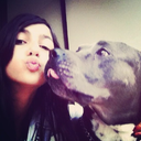 selenaai1xx-blog avatar