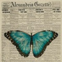 selenagomez31 avatar