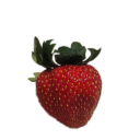 selenes-asleep avatar