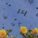 selenophile-r avatar