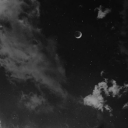 selenophile-x avatar