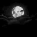 self--destruction avatar