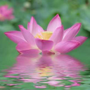 self-care-witch avatar