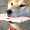 self-love-is-punkrock avatar