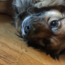 self-proclaimedqueen avatar