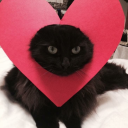 self-sabatoger avatar