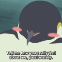 self-ship-hell avatar