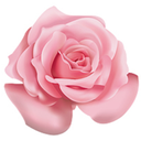 selfaseathics avatar