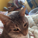 selfcare-wellness-productive avatar